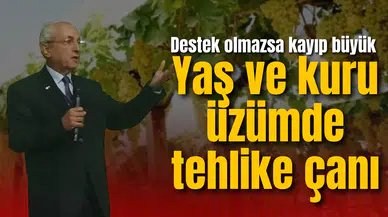 Yaş ve kuru üzümde tehlike çanı: Destek olmazsa kayıp büyük