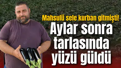 Mahsulü sele kurban gitmişti! Aylar sonra tarlasında yüzü güldü