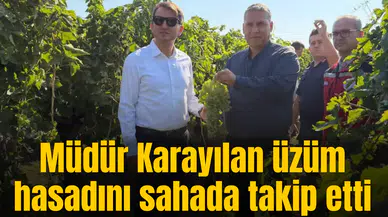 Müdür Karayılan üzüm hasadını sahada takip etti
