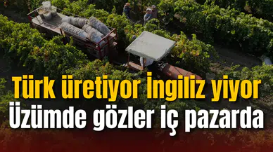 Türk üretiyor İngiliz yiyor: Üzümde gözler iç pazarda