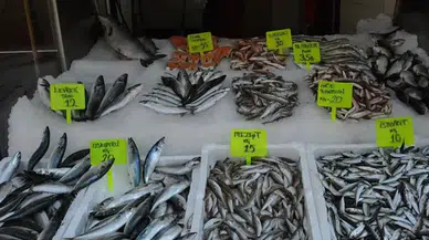 Balık tezgâhları yeniden hareketleniyor! Eylül ayında hangi balık alınmalı?