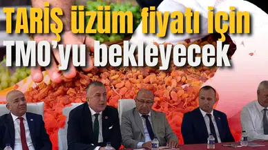 TARİŞ üzüm fiyatı için TMO’yu bekleyecek