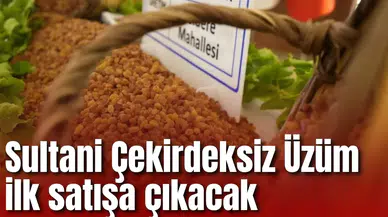 Sultani Çekirdeksiz Üzüm ilk satışa çıkacak