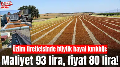 Üzüm üreticisinde büyük hayal kırıklığı: Maliyet 93 lira, fiyat 80 lira!
