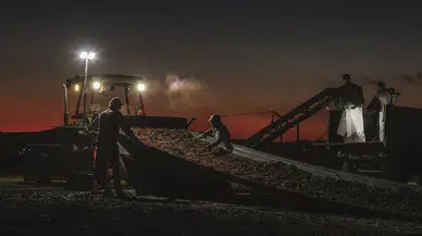 Bağ Bozumu Fotoğraf Yarışması'nda kazananlar belli oldu