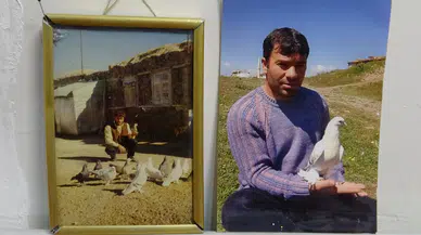 Bu kuşların değeri dudak uçuklatır
