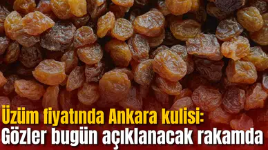 Üzüm fiyatında Ankara kulisi: Gözler bugün açıklanacak rakamda