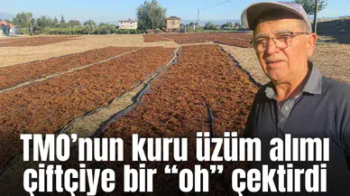 TMO’nun kuru üzüm alımı çiftçiye bir “oh” çekdirdi