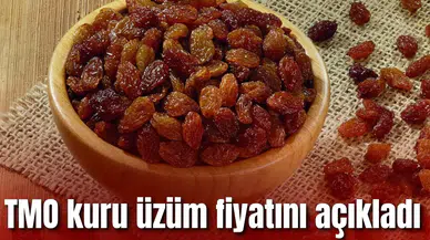 TMO kuru üzüm fiyatını açıkladı