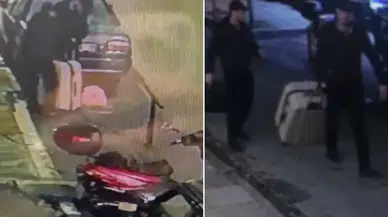 Caniler öldürdükleri kadını bakın nasıl taşımış