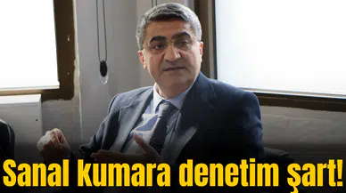 Sanal kumara denetim şart!