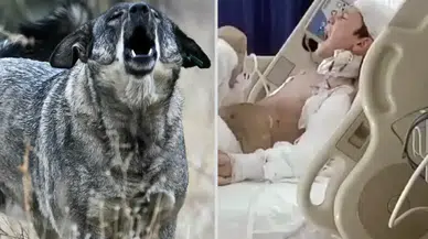 üÇ KURUM TUHANAN'IN AİLESİNE 5 MİLYON TL MANEVİ TAZMİNAT ÖDENECEK