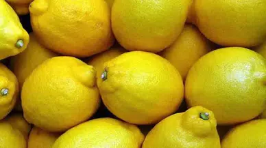 Limonlar Neden Hızla Buruşuyor? Saklarken Yapılan Bu Hatalara Dikkat