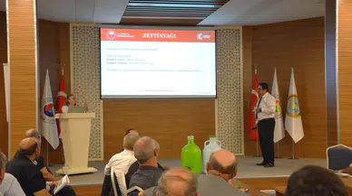 Manisa’nın zeytin gücü büyüyor: 3 yılda 8 milyon ağaç arttı