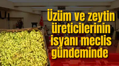 Üzüm ve zeytin üreticilerinin isyanı meclis gündeminde