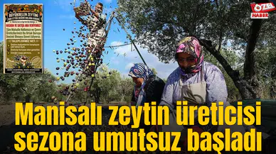 Manisalı zeytin üreticisi sezona umutsuz başladı