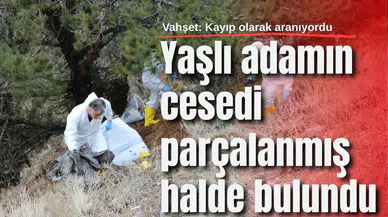 Vahşet: Yaşlı adamın cesedi parçalanmış halde bulundu