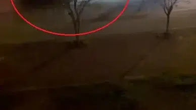 Yerde bayın yatan beden eğitimi öğretmeninin üzerinden araç geçti