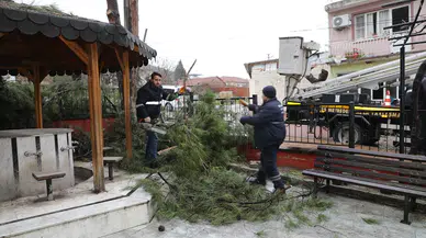 Şehzadelerde budanan dallar ihtiyaç sahiplerine gidiyor