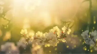 Cemre ne zaman düşecek? Cemre takvimi! 2026 cemre takvimi açıklandı