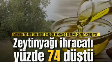 Manisa’nın üretim lideri olduğu sektörde tehlike çanları çalışıyor: Zeytinyağı ihracatı yüzde 74 düştü