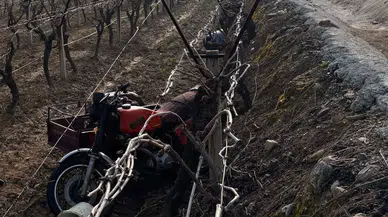 Manisa'da yaşlı adam motosikletle üzüm bağına uçtu