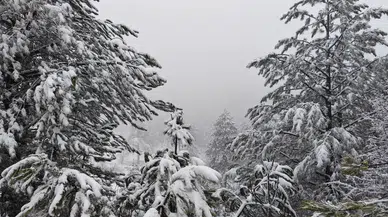 Mart bitmeden Demirci'ye kar sürprizi