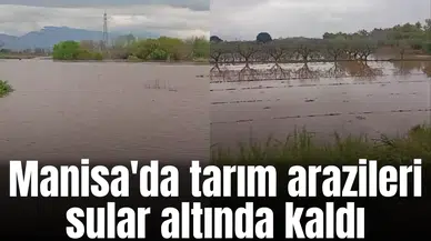 Manisa'da tarım arazileri sular altında kaldı