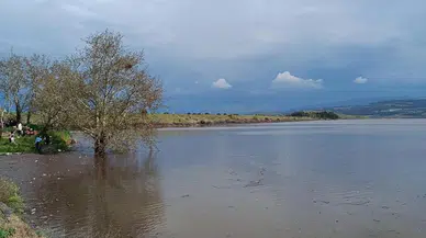 Yağışlar sonrası Manisalı çiftçinin yüzü güldü