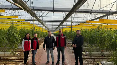 MANİSA’DA İYİ TARIM UYGULAMALARI DENETİMİ