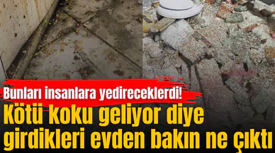 Kötü koku geliyor diye girdikleri evden bakın ne çıktı
