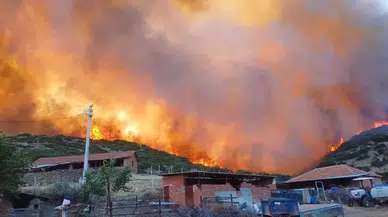 Manisa'da orman yangınlarını önlemek için tedbir alındı