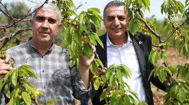 Başkan Şimşek kiraz üreticileriyle bir araya geldi