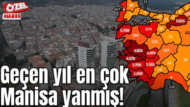 Geçen yıl en çok Manisa yanmış!