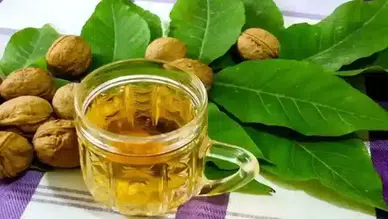 Ceviz suyu nasıl yapılır? Aç karnına içince etkisiyle hayran bırakıyor