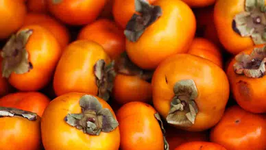 Kış aylarının mucizesi Cennet Hurmasının bilinmeyen faydaları sıralandı