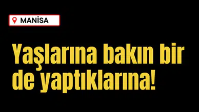 Yaşlarına bakın bir de yaptıklarına!