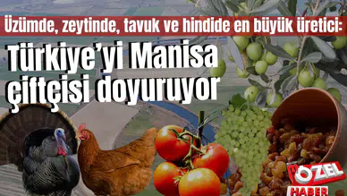 Üzümde, zeytinde, tavuk ve hindide en büyük üretici: Türkiye’yi Manisa çiftçisi doyuruyor