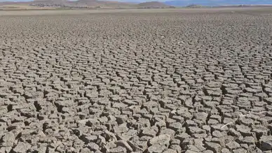 Bir göl daha kuraklığa kurban gitti