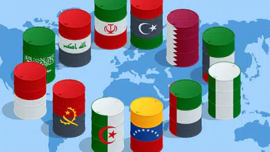 Birleşik Arap Emirlikleri OPEC üyeliğinden çekiliyor