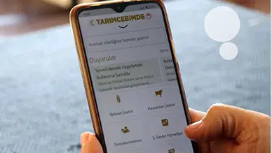 Tarım Cebimde kurbanlık sorgulama: Küpe numarasıyla hayvan bilgileri nasıl kontrol edilir?