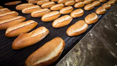 İBB emeklilere ücretsiz ekmek desteği başlattı: Kimler yararlanacak?