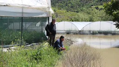 Yeşilırmak Nehri taştı, tarım arazileri sular altında kaldı