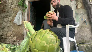 Enginar soyarak kazandığı para dudak uçuklattı