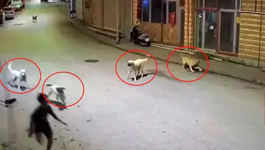 10 yaşındaki çocuk dehşeti yaşadı