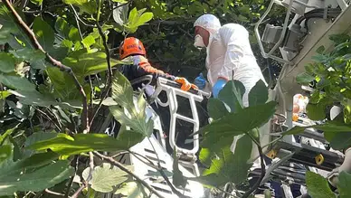 Ağaçlık alandaki kokunun sebebi bakın ne çıktı