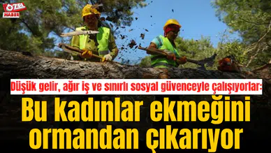 Düşük gelir, ağır iş ve sınırlı sosyal güvenceyle çalışıyorlar: Bu kadınlar ekmeğini ormandan çıkarıyor
