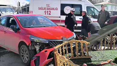 Araç içerisindeki köpek üzerine atlayınca direksiyon hakimiyetini kaybetti