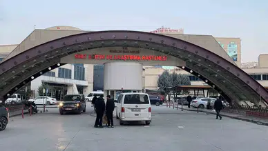 Ağaç budarken canından oldu