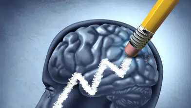 Zihni fark etmeden yoran besinler açıklandı: Aşırı tüketimde odak ve hafıza etkilenebiliyor